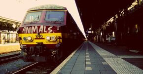 E-ticketing NMBS dagenlang plat