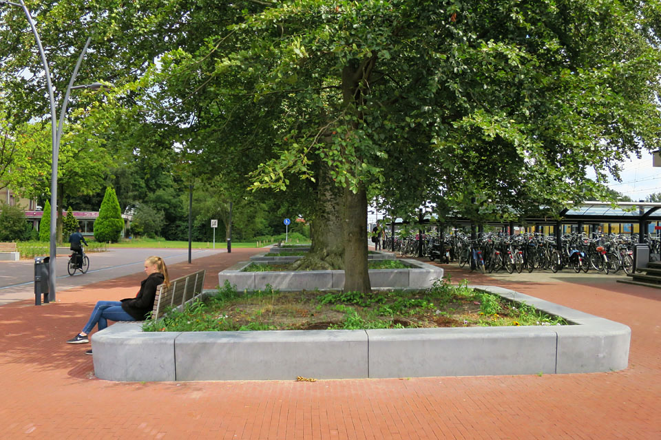 Natuurstenen banden rond de boomperken dienen als zitplaatsen.