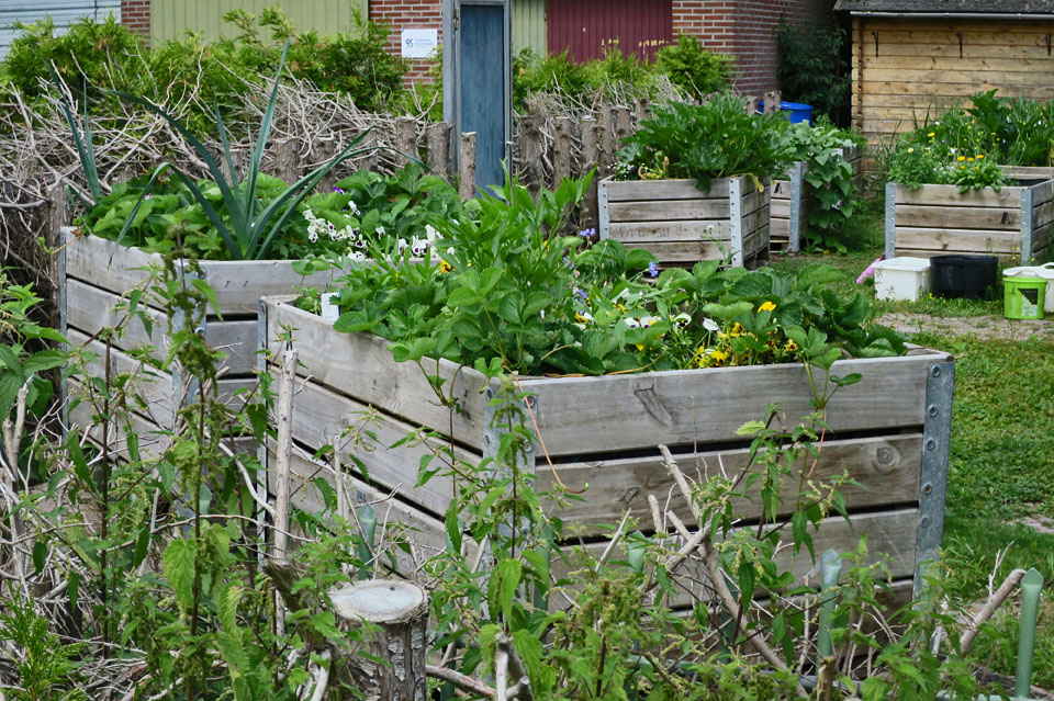 Mobiele moestuin staat klaar voor verhuizing naar een braakliggend terrein. 