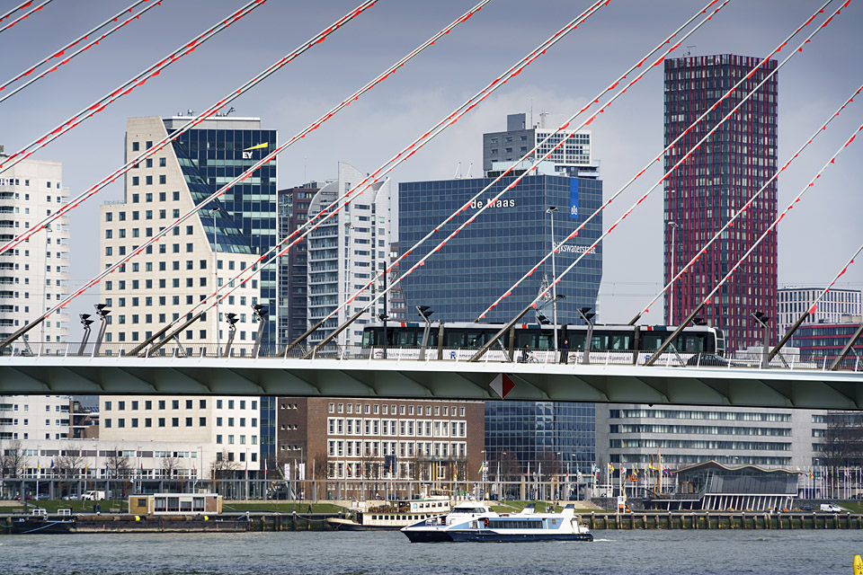 Tram op en Waterbus onder de Erasmusbrug.