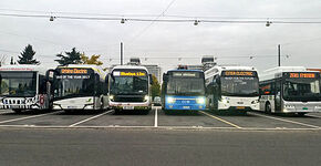 Bus- en batterijbouwers getest in Bonn