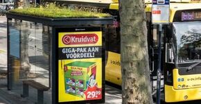 Utrechtse bushokjes hebben een plantendak