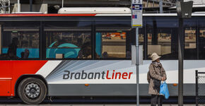 Brabantliner. 