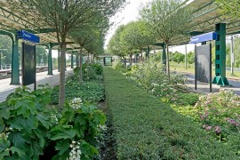 Bestuurslid Rover knapt station Deurne op