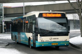 Drie bieders op Zuid-Hollandse eilanden